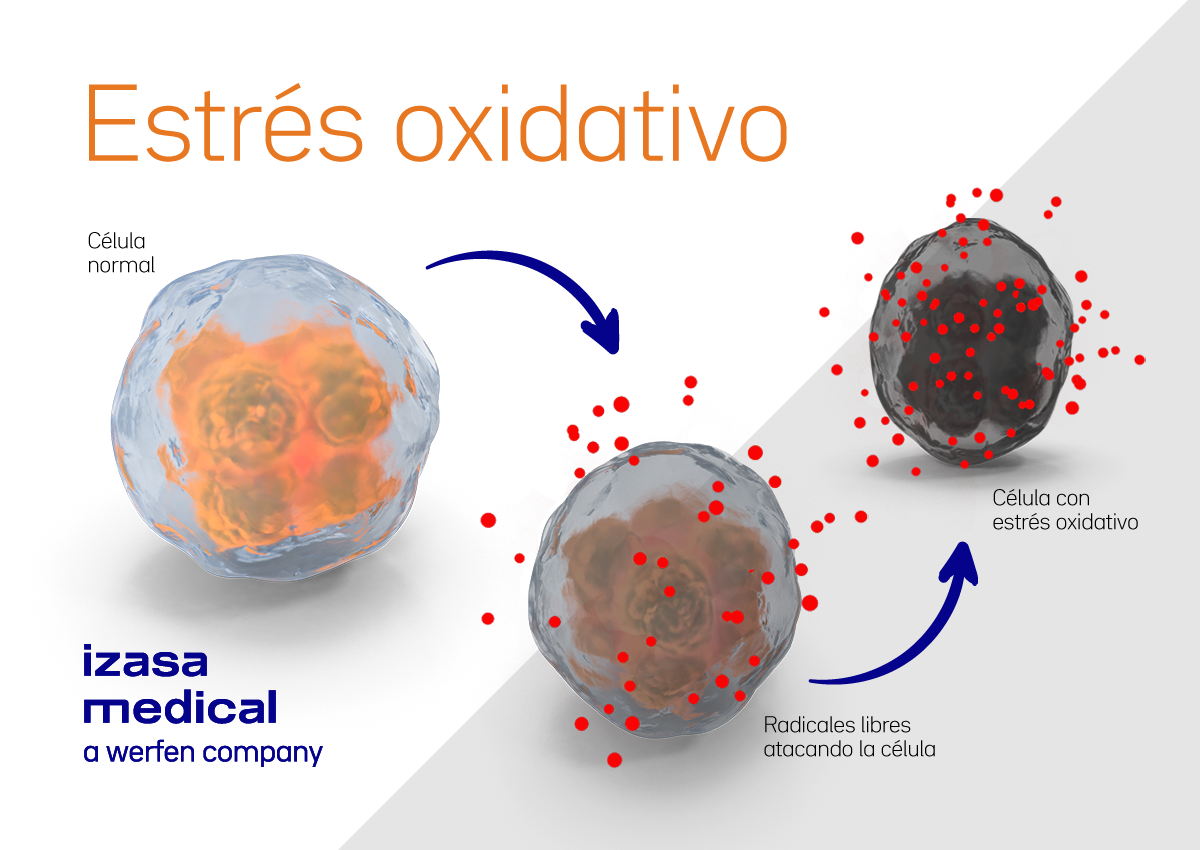 estrés-oxidativo