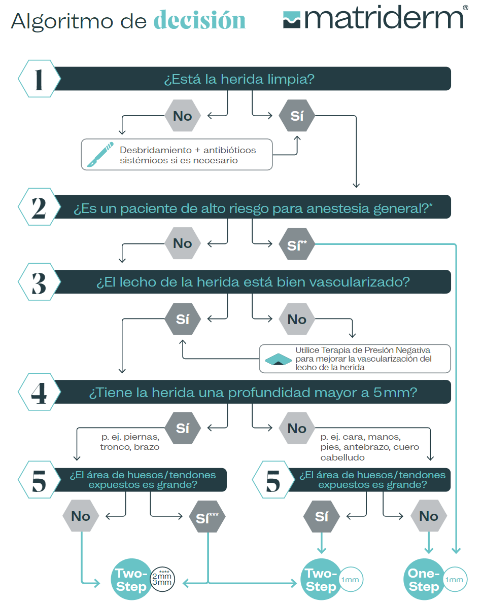  El algoritmo de decisión de MatriDerm®